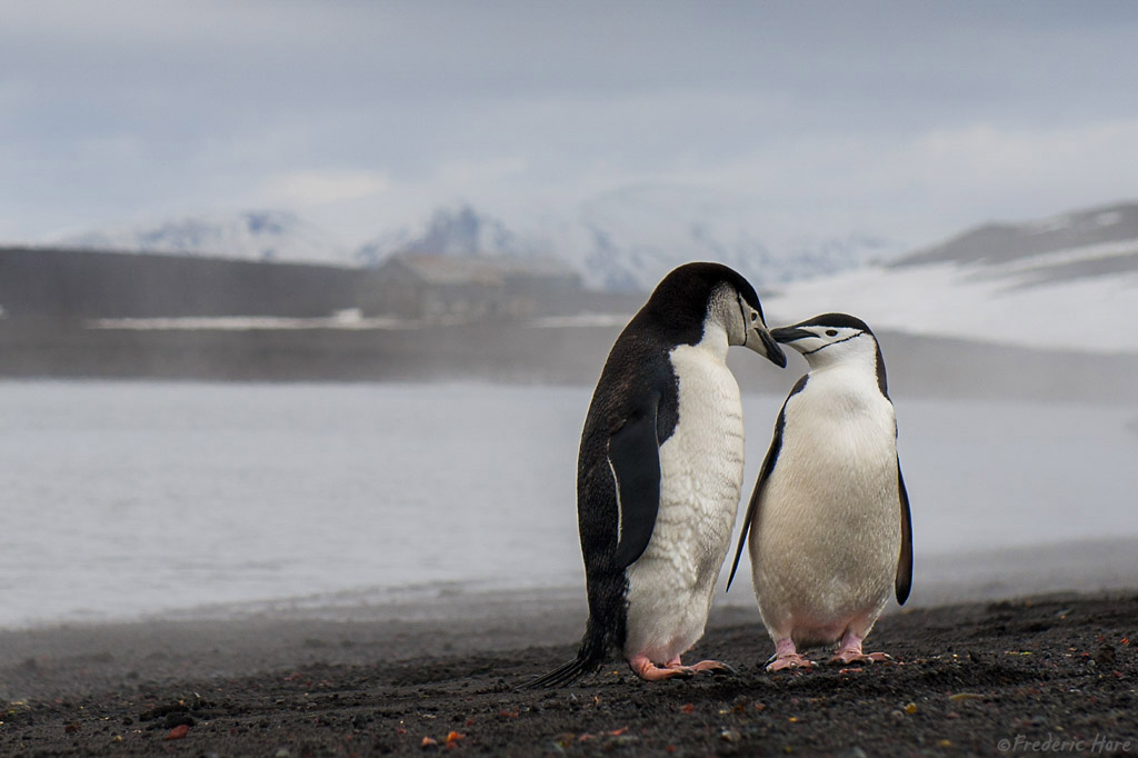 Deception Island  